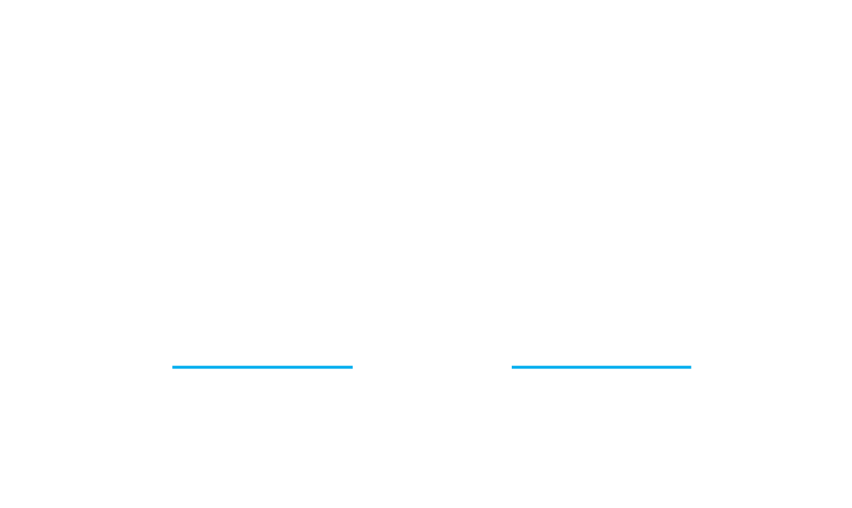 Year-end Demo Sale